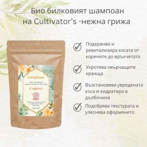 Organic Herbal Hair Shampoo Powder - Caring, 250g